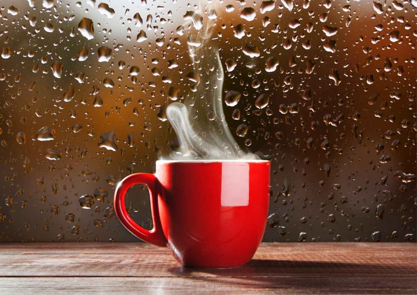 หน้าฝนควรดื่มชาอะไร? จับคู่ชากับอากาศชื้นแบบเชียงใหม่